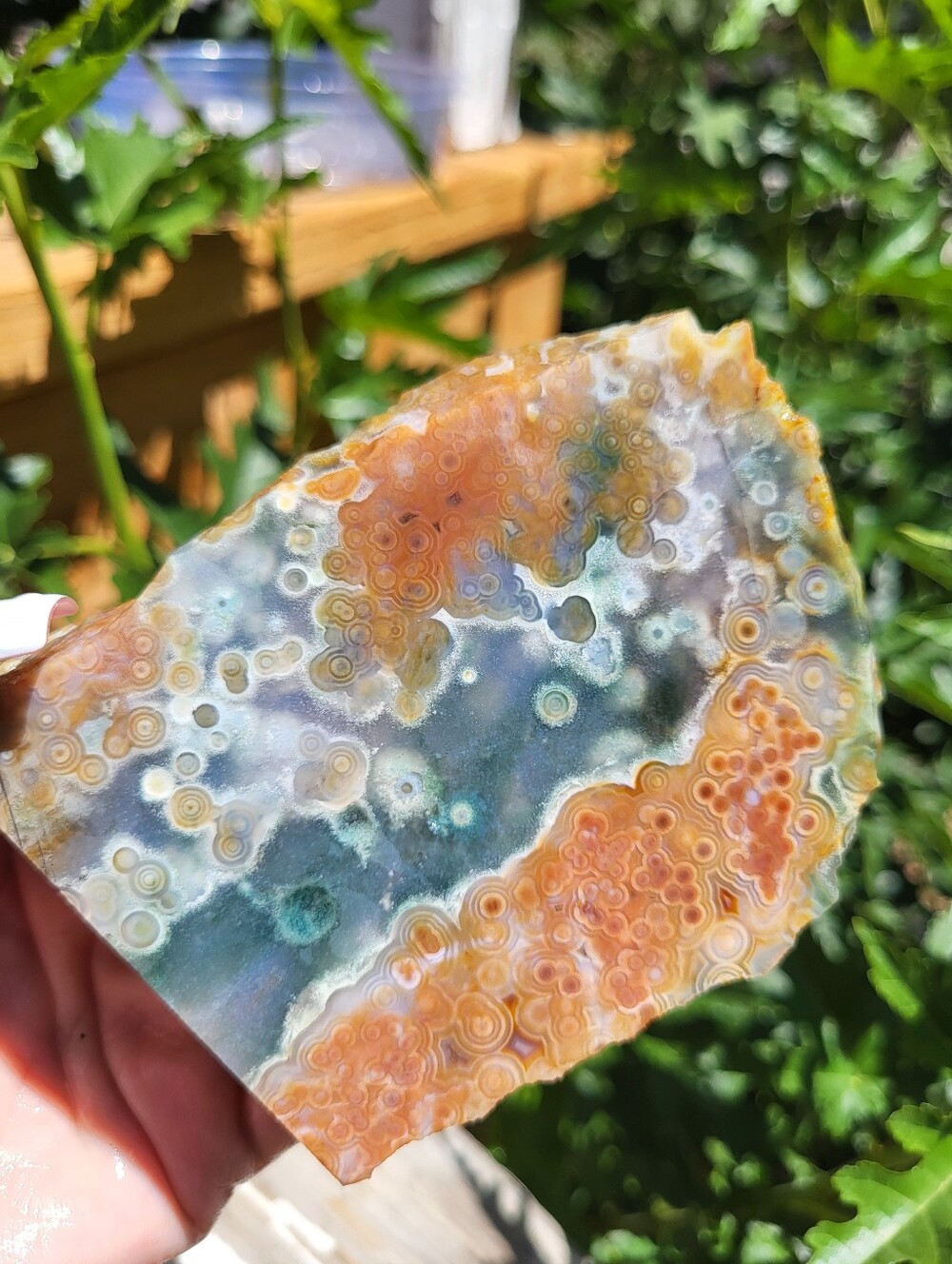 Natural Raw Ocean Jasper Freeform Slab Old Stock in Orange Green Pink & Blue